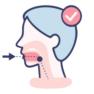 Side view illustration of the path through the mouth and throat during a swallow